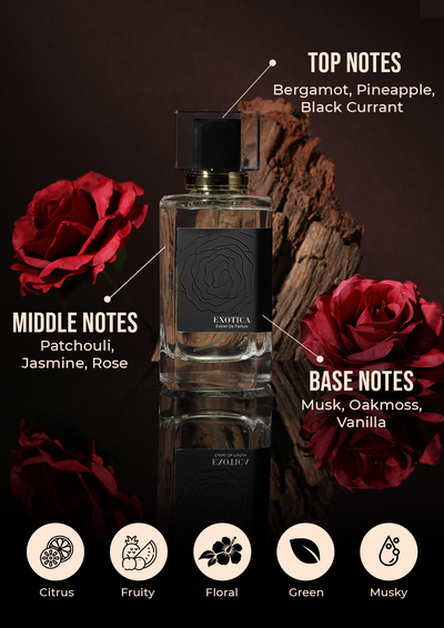 EXOTICA unisex ♀️♂️ - Main Image